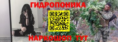 PSILOCYBIN Кулебаки