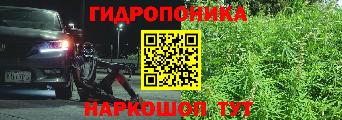 Бошки Шишки план Клин